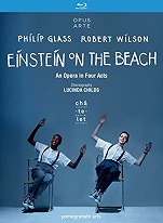 wGlass & Wilson: Einstein on the Beachx